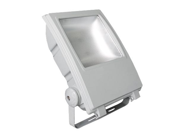 LED flood light